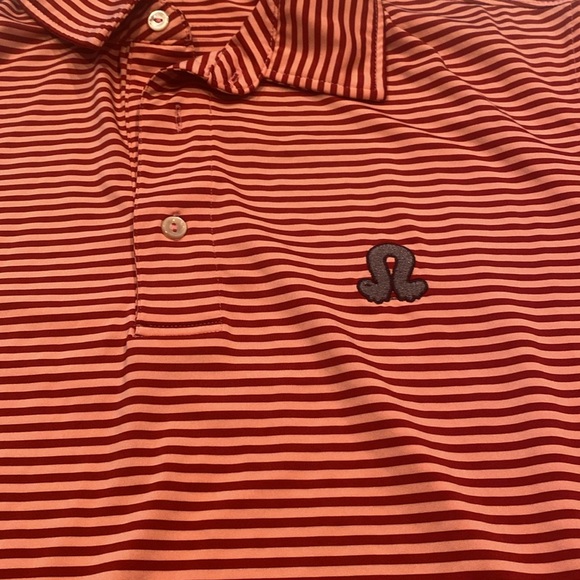 Dri Fit Performance Polo - Picture 3 of 3